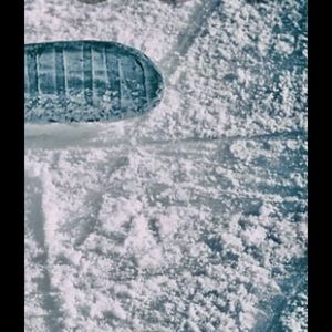 Meet your Posher, Maddy